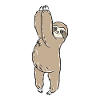 Sloth
