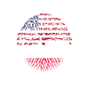 Pologne drapeau cadeau