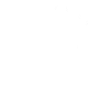 Teacher Schweigefuchs
