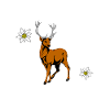Lederhose