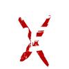 Richtiger 31er