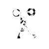weightlifter