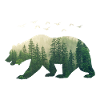Bear - Nature