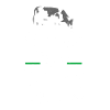 Kuh Kühe