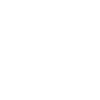 Strawberry strawberries