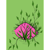 Pink Eye