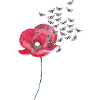 Coquelicots et abeilles