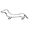 dachshund