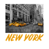 new York