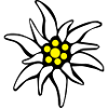 Edelweiss