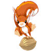 Eichhörnchen 3
