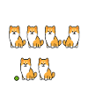 Shiba Inu