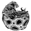 Moon wave