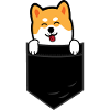 shiba inu