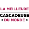 Cascadeur / Cascade / Voiture / Risque / Danger