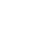 Vienne