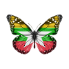 Butterfly Flag Of Myanmar