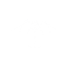 Batman Dark White Wings