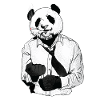 Panda - Ready to Rumble