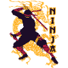 Ninja Japanischer Drache