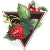 Aquarelle Fraises