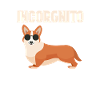Corgi