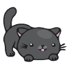 Cute cat kitten cute