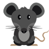 Mouse cute cute