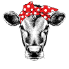 bandana cow
