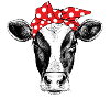 cow bandana