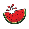 Watermelon melon fruit lovers gift