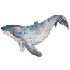 Whale