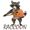Guitar Racoon / Guitar Raccoon