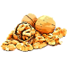 Walnuts walnut image graphic symbol
