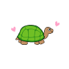 tortue