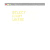 Computer scientist programmer