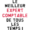 Expert Comptable / Comptabilité / Comptable /