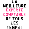 Expert Comptable / Comptabilité / Comptable /