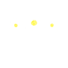 Daisy daisy gift
