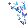 butterflies