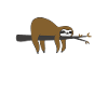 sloth