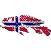 Norway Fishing