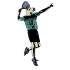 Lama tennis