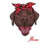 Labrador
