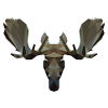 Low Poly Moosehead