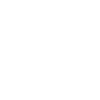 craftsman