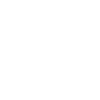 Rally Driver