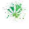 Cannabis