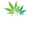Cannabis