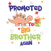 Promoted To Big Brother Again